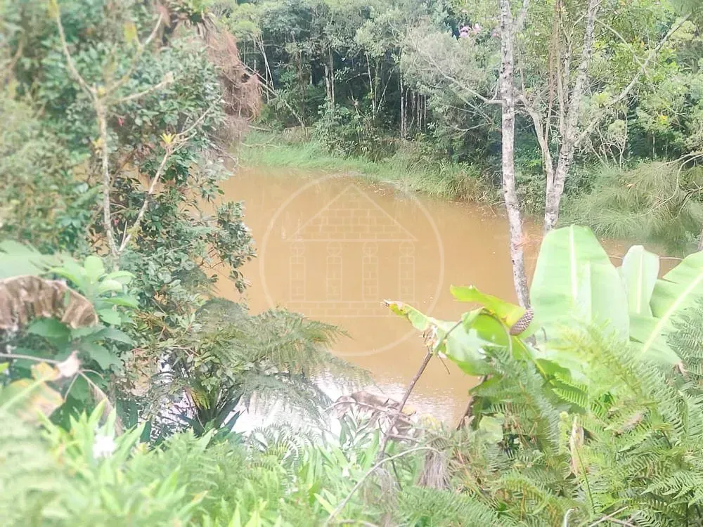 Terreno, 1 hectares - Foto 1