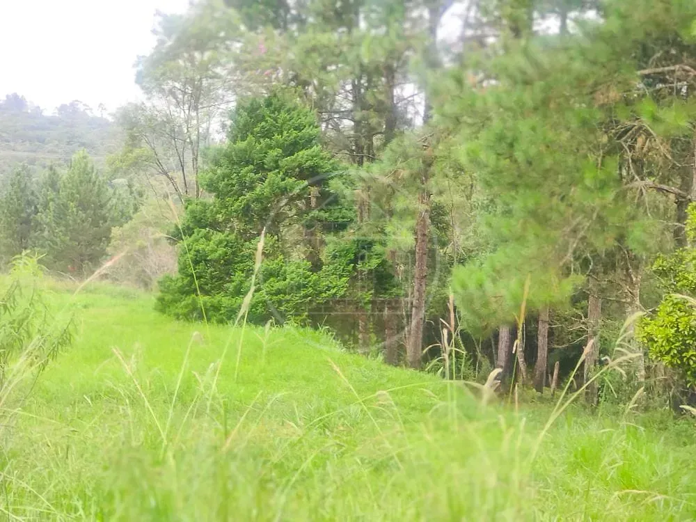 Terreno, 1 hectares - Foto 7