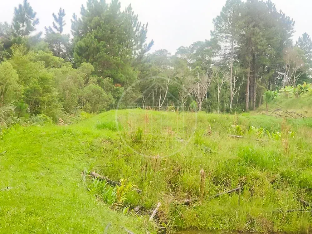 Terreno, 1 hectares - Foto 2