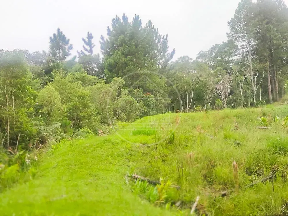 Terreno, 1 hectares - Foto 4