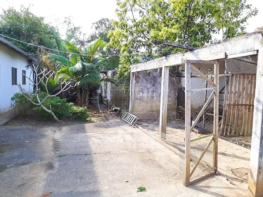 Chácara, 2 quartos, 3 hectares - Foto 11