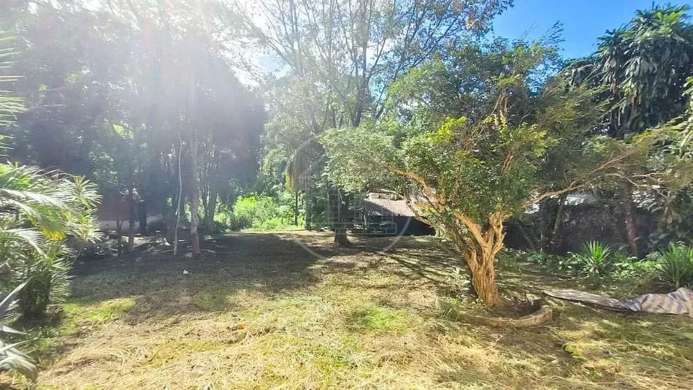 Terreno, 7000 m² - Foto 6