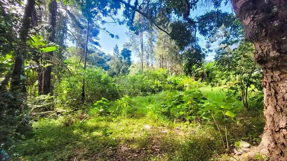 Terreno, 7000 m² - Foto 10