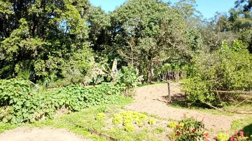 Terreno, 1 hectares - Foto 5