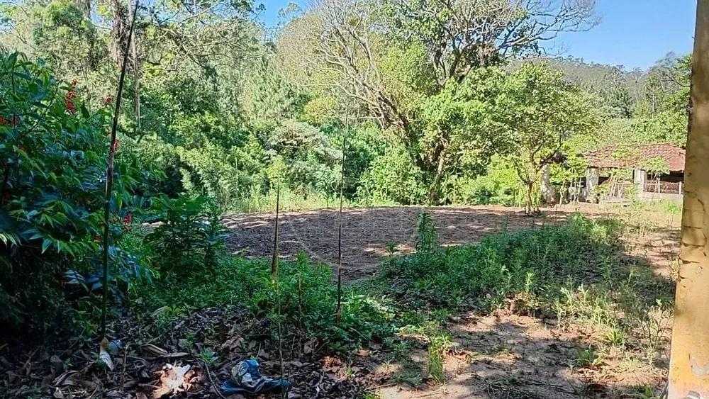 Terreno, 1 hectares - Foto 3