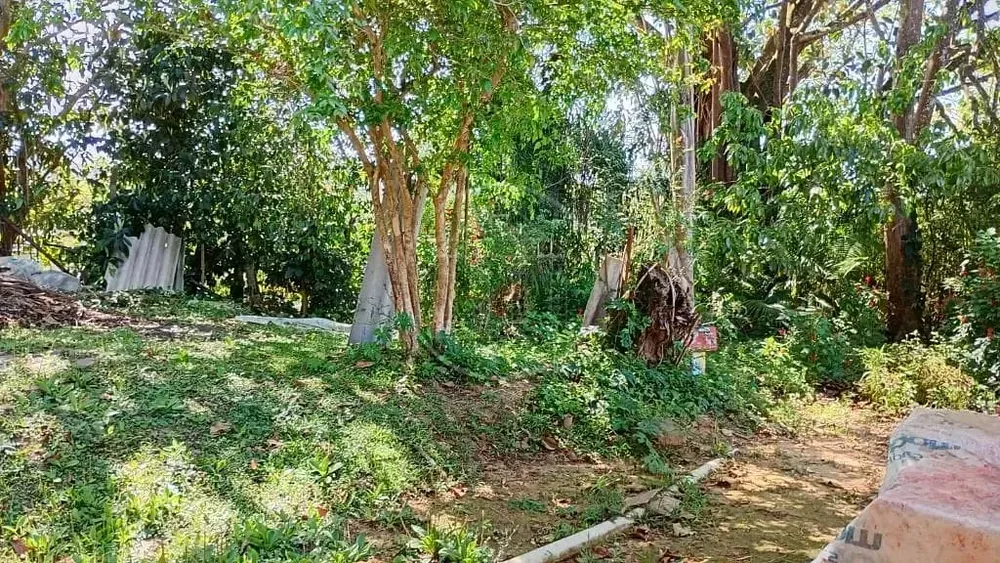 Terreno, 1 hectares - Foto 15