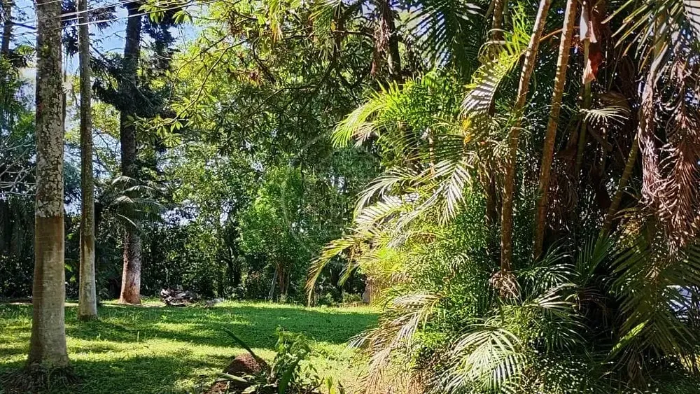 Terreno, 1 hectares - Foto 9