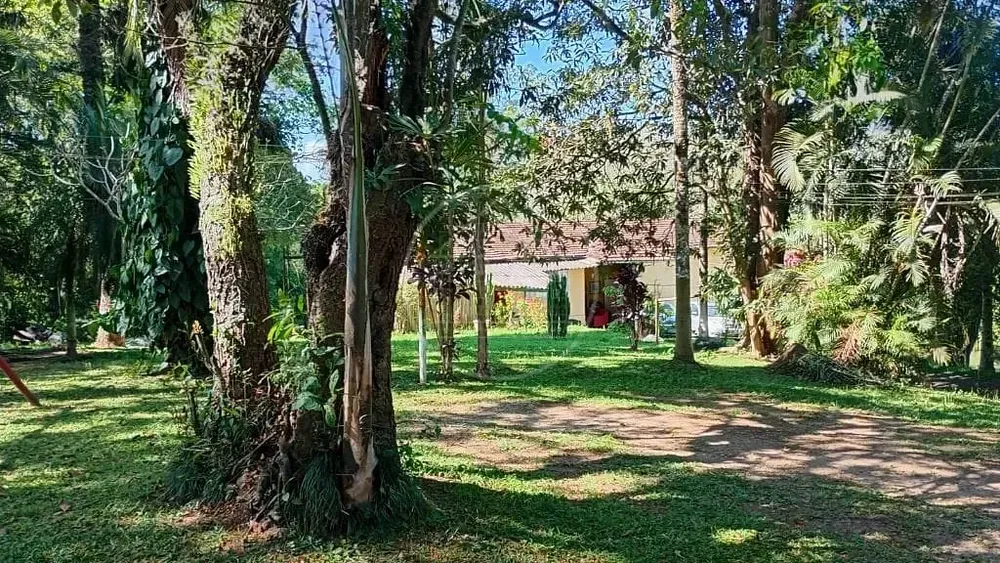 Terreno, 1 hectares - Foto 8