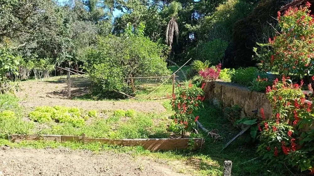 Terreno, 1 hectares - Foto 7