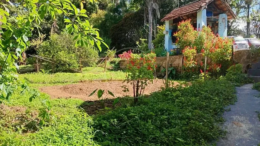 Terreno, 1 hectares - Foto 1