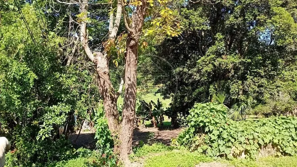Terreno, 1 hectares - Foto 6