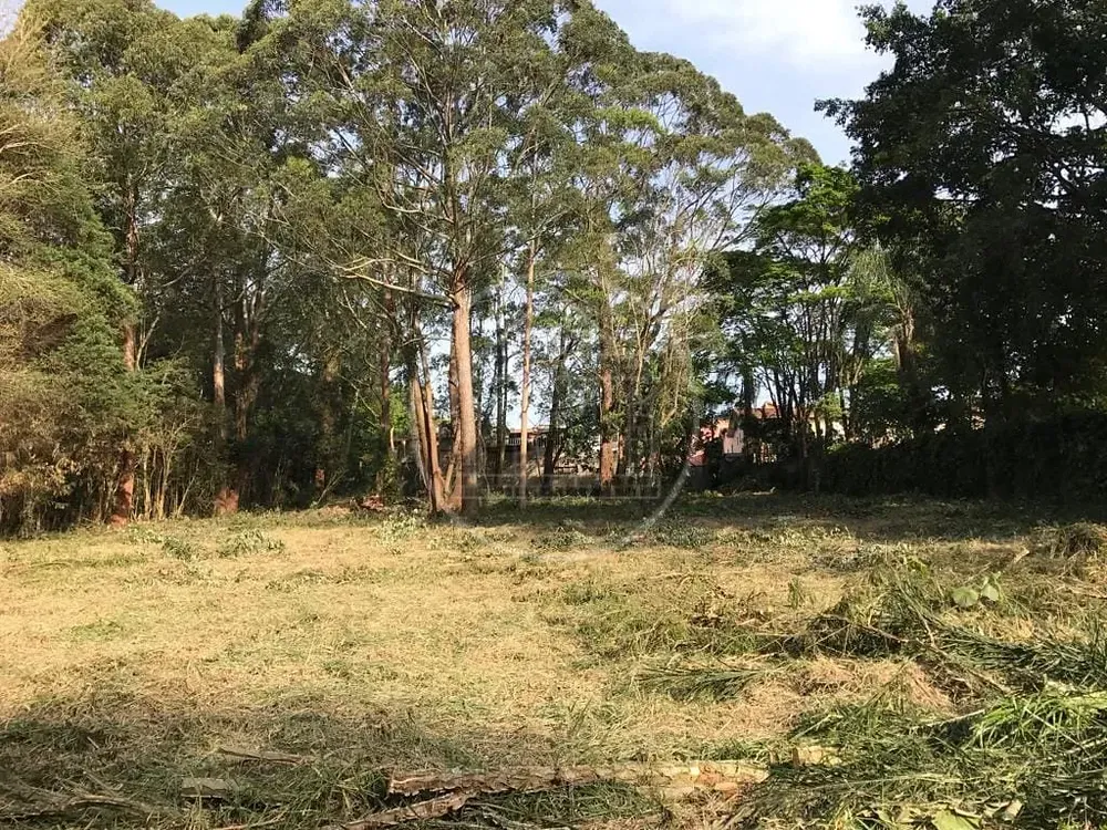 Terreno, 7000 m² - Foto 3