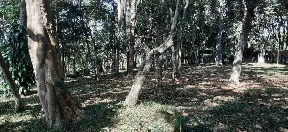 Sítio, 3 quartos, 5000 m² - Foto 5