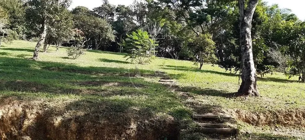 Sítio, 3 quartos, 5000 m² - Foto 12