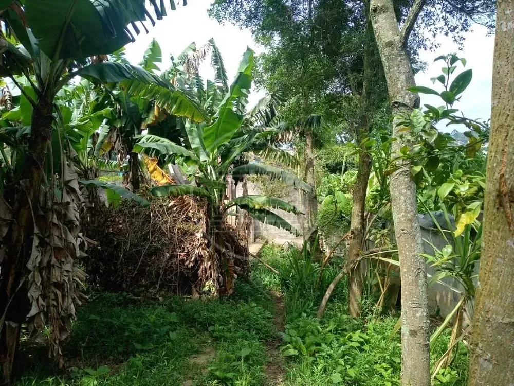 Terreno, 540 m² - Foto 4