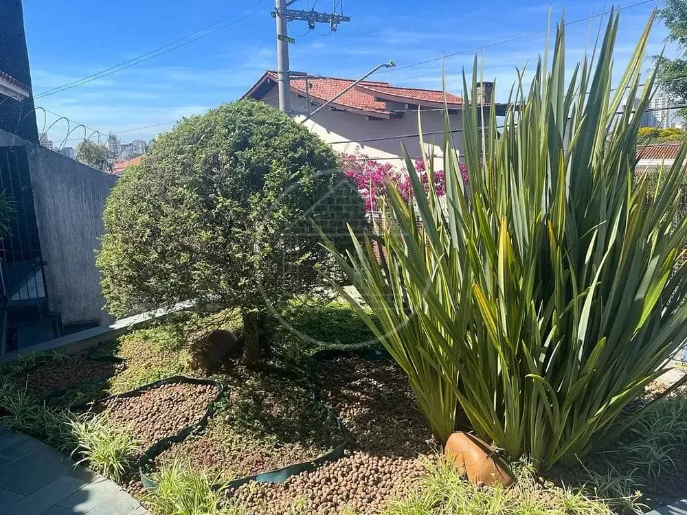 Sobrado, 4 quartos, 394 m² - Foto 5