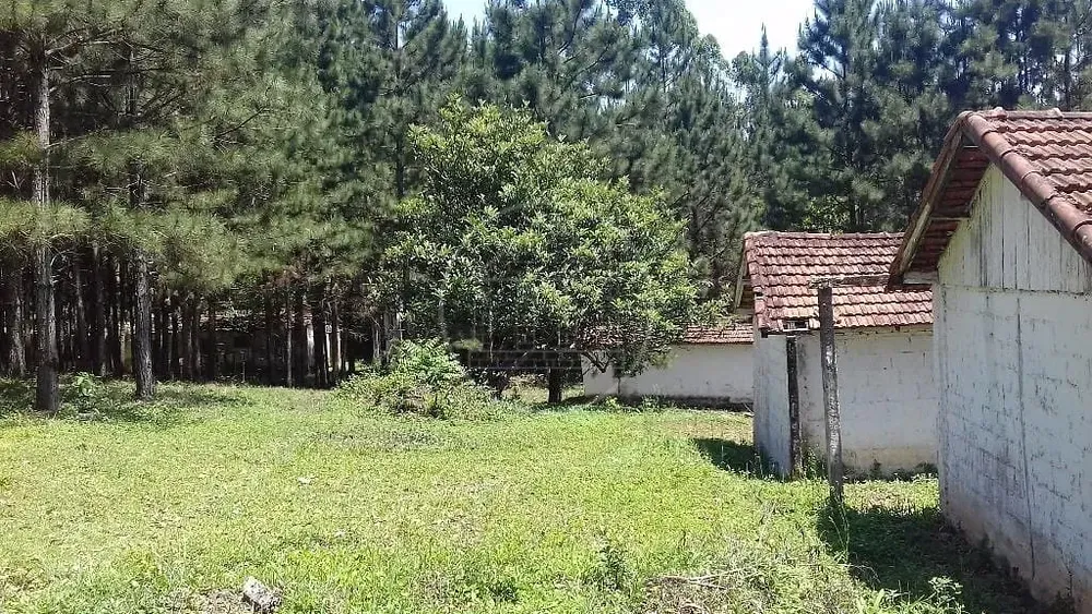 Sítio, 3 hectares - Foto 1
