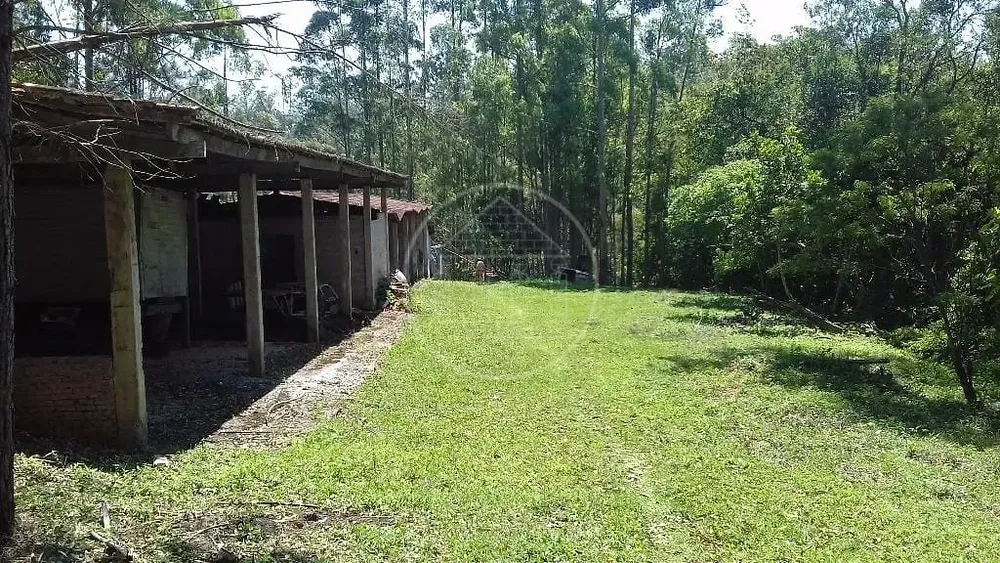 Sítio, 3 hectares - Foto 3
