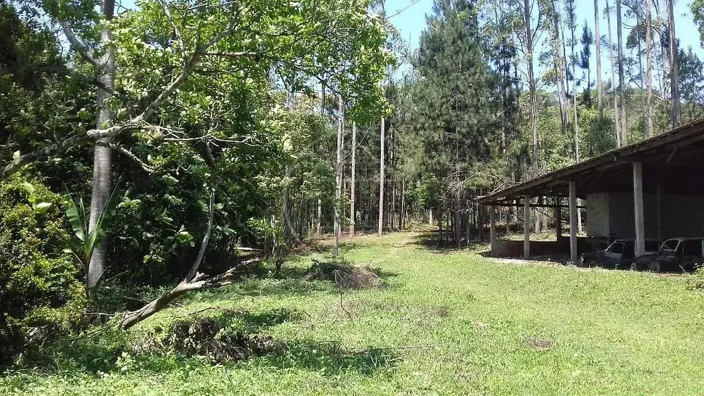 Sítio, 3 hectares - Foto 4