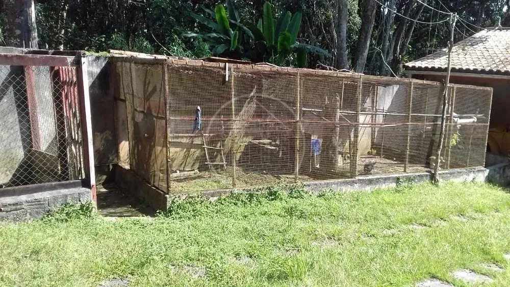 Chácara, 3 quartos, 2000 m² - Foto 12