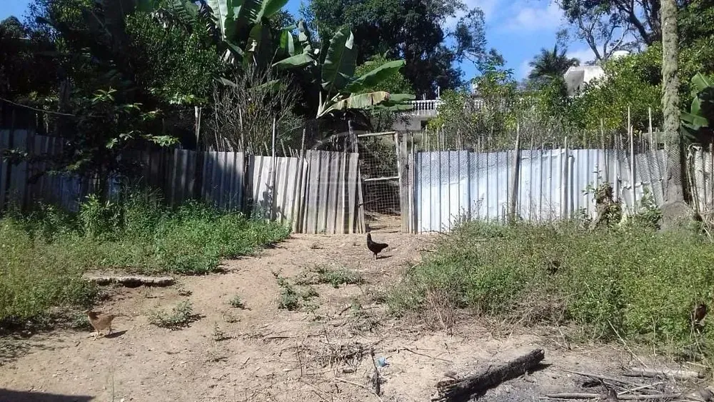 Chácara, 3 quartos, 2000 m² - Foto 4