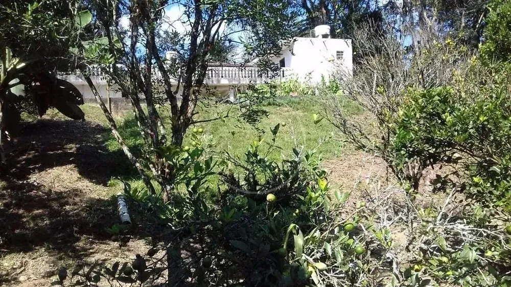 Chácara, 3 quartos, 2000 m² - Foto 5
