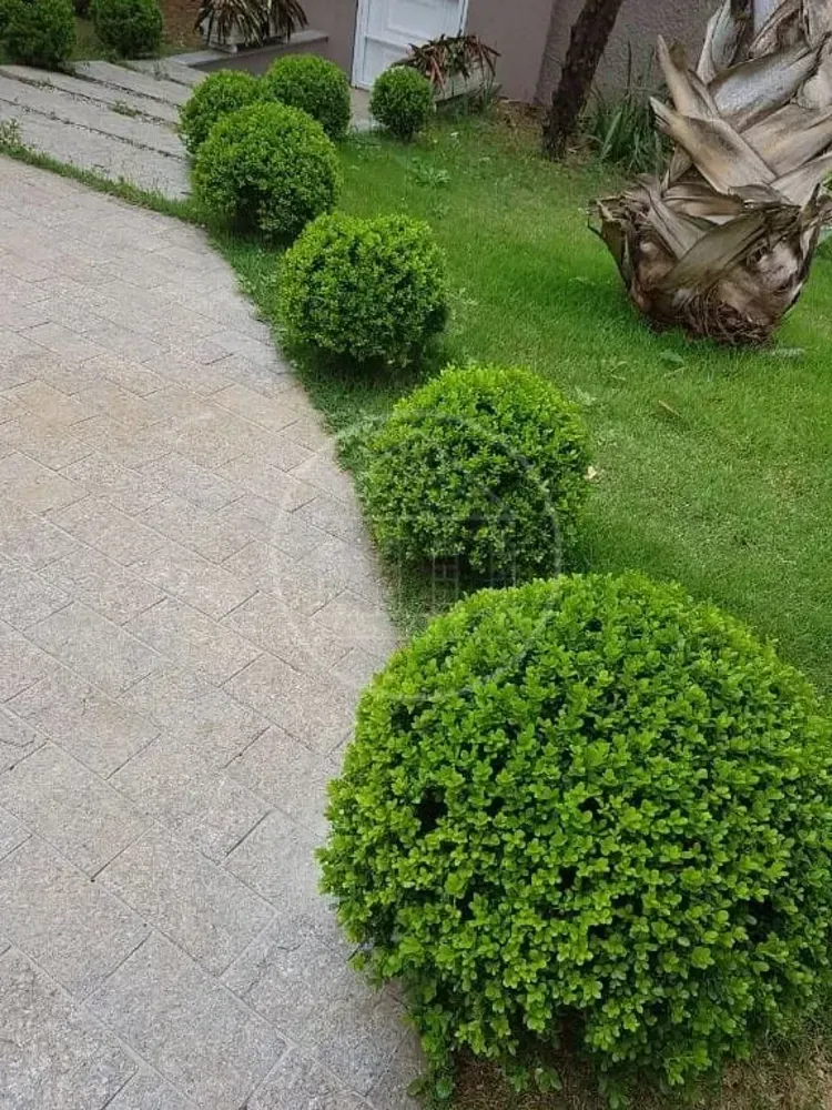Sobrado, 4 quartos, 450 m² - Foto 14