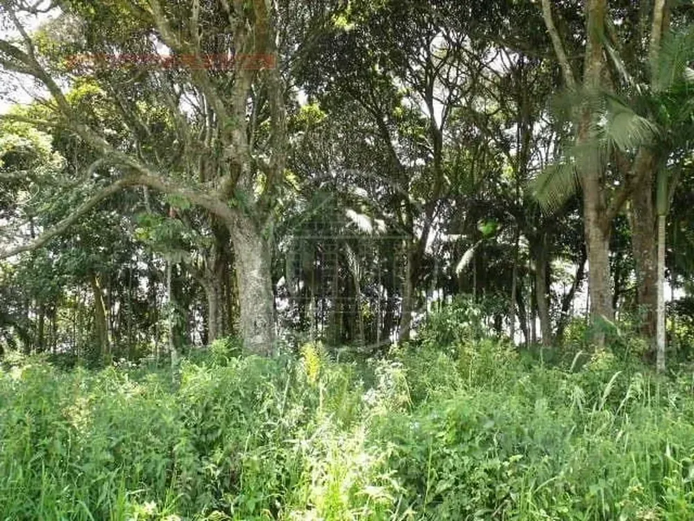 Terreno, 5 hectares - Foto 3