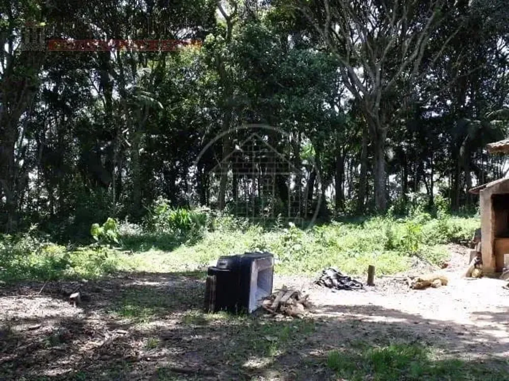 Terreno, 5 hectares - Foto 2