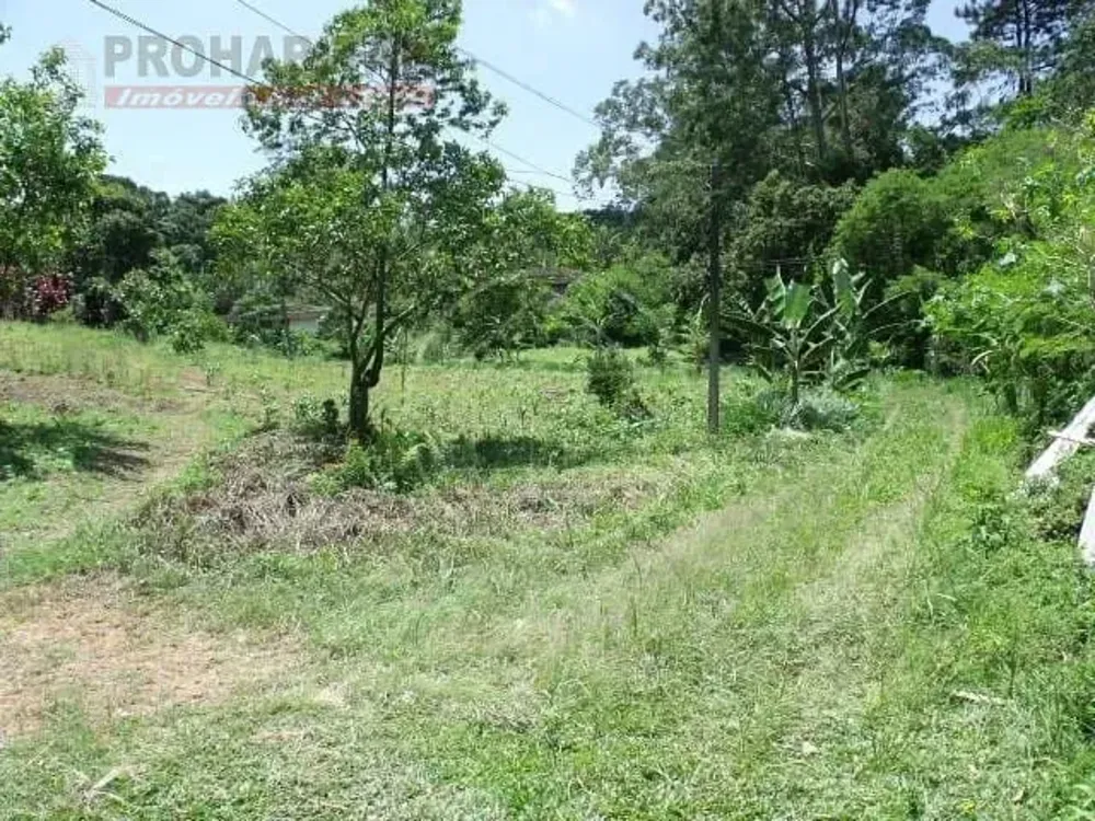 Terreno, 5 hectares - Foto 4