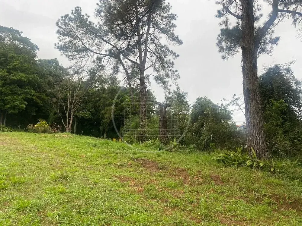 Terreno, 2 hectares - Foto 4