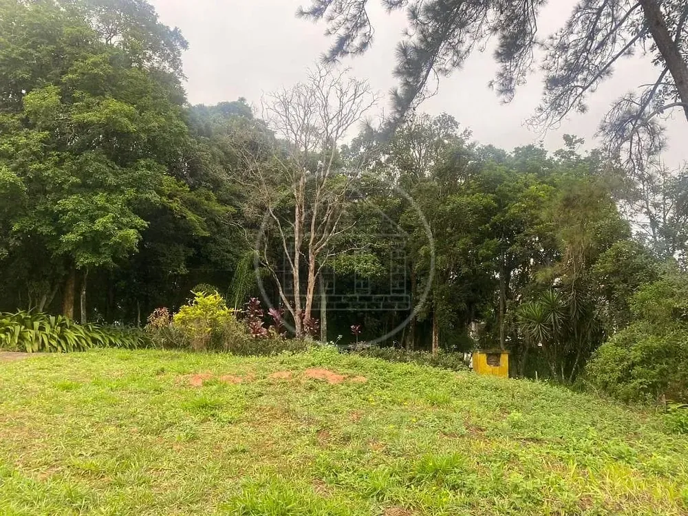 Terreno, 2 hectares - Foto 3