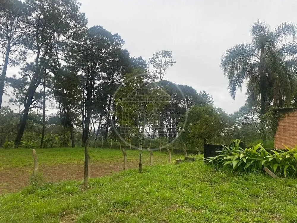 Terreno, 2 hectares - Foto 7