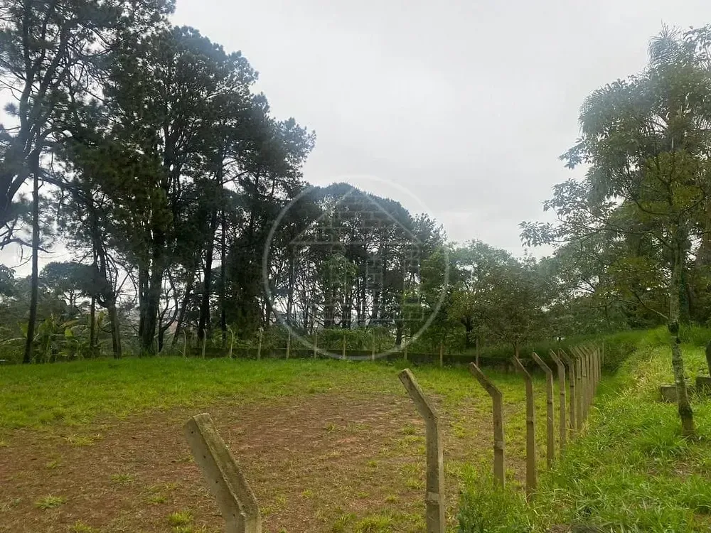 Terreno, 2 hectares - Foto 9