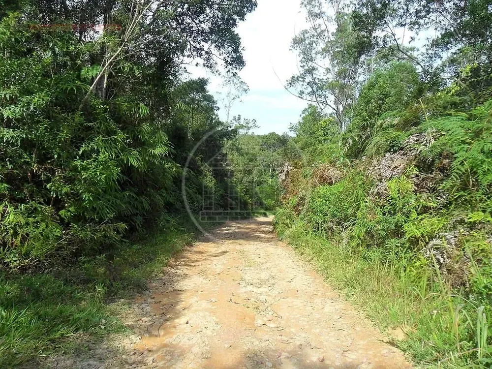 Terreno, 12 hectares - Foto 3