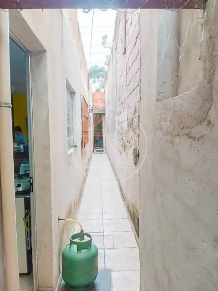 Casa, 4 quartos, 250 m² - Foto 14