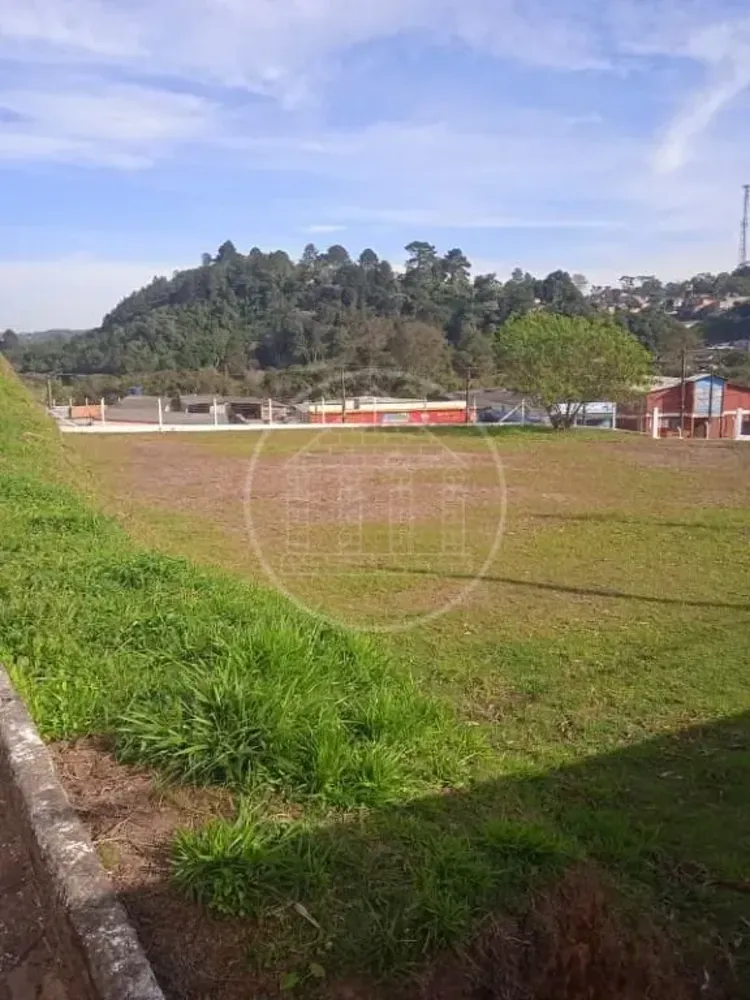Terreno, 3305 m² - Foto 6
