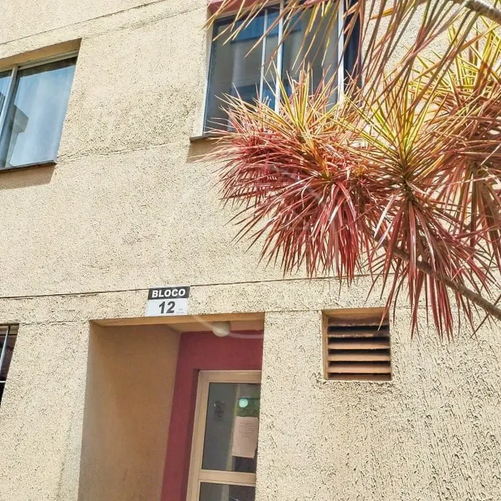 Apartamento, 2 quartos, 55 m² - Foto 2