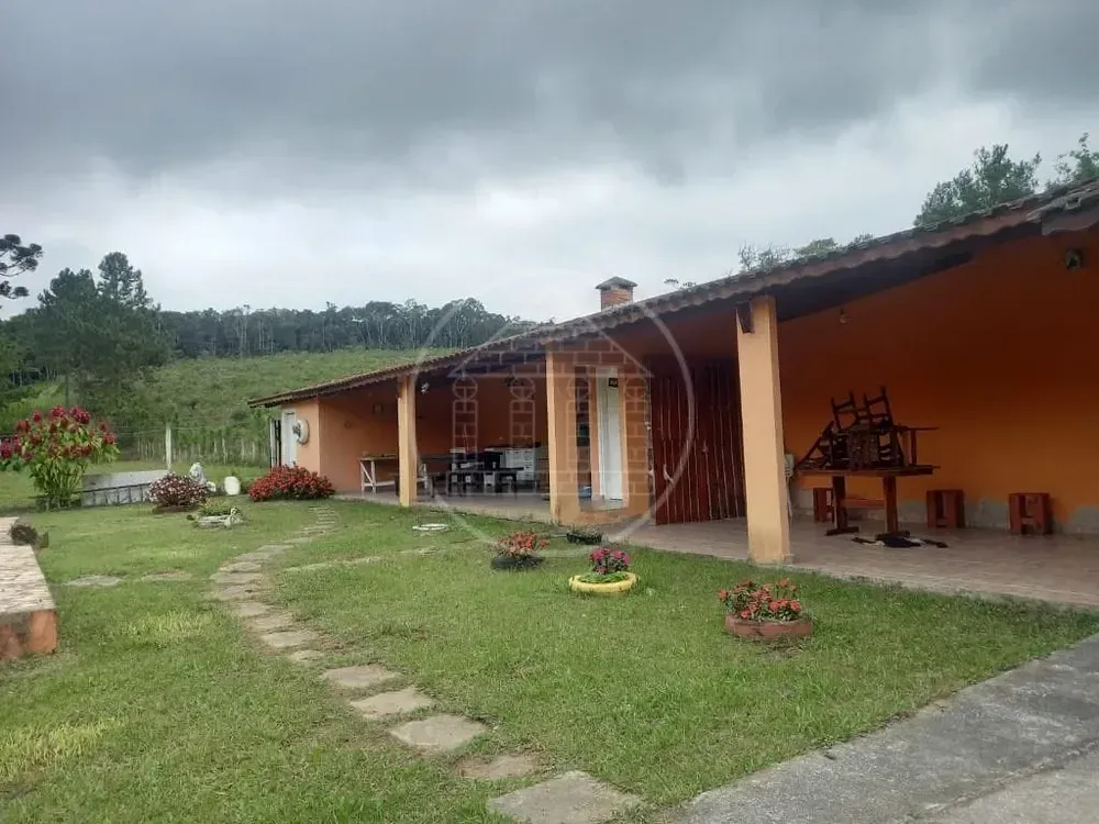 Sítio, 4 quartos, 2 hectares - Foto 14