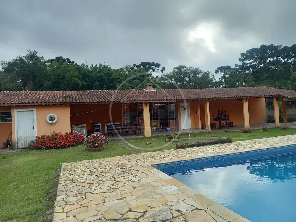 Sítio, 4 quartos, 2 hectares - Foto 3