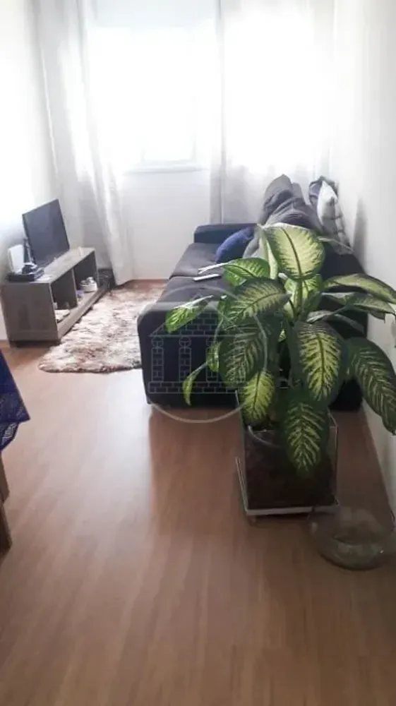 Apartamento, 3 quartos, 53 m² - Foto 2