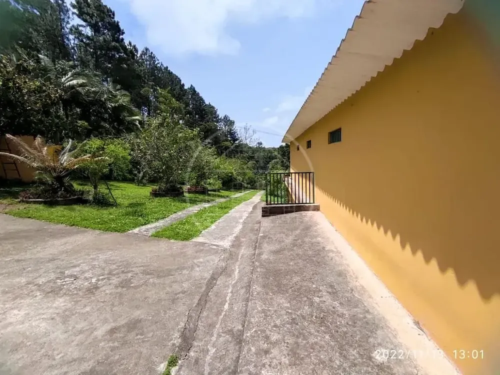 Chácara, 3 quartos, 6586 m² - Foto 5