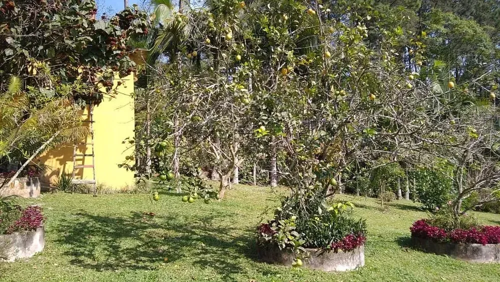 Chácara, 3 quartos, 6586 m² - Foto 8