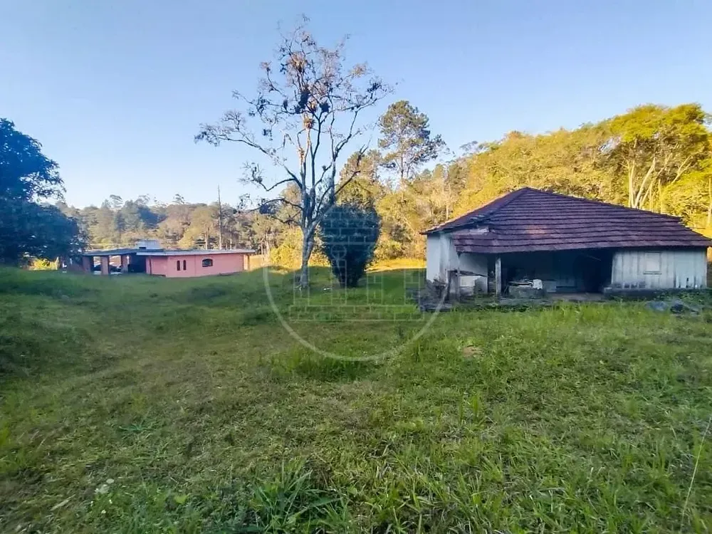 Chácara, 6 quartos, 4 hectares - Foto 10