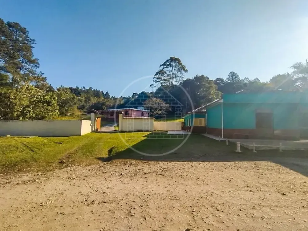 Chácara, 6 quartos, 4 hectares - Foto 14