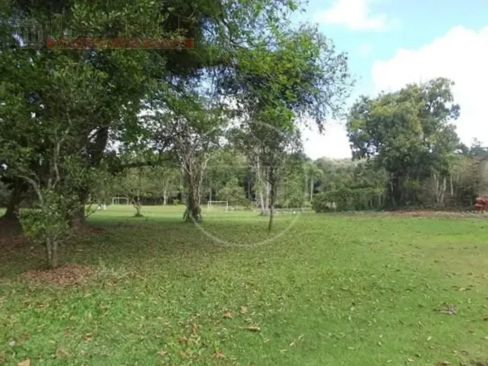 Terreno, 4 hectares - Foto 8