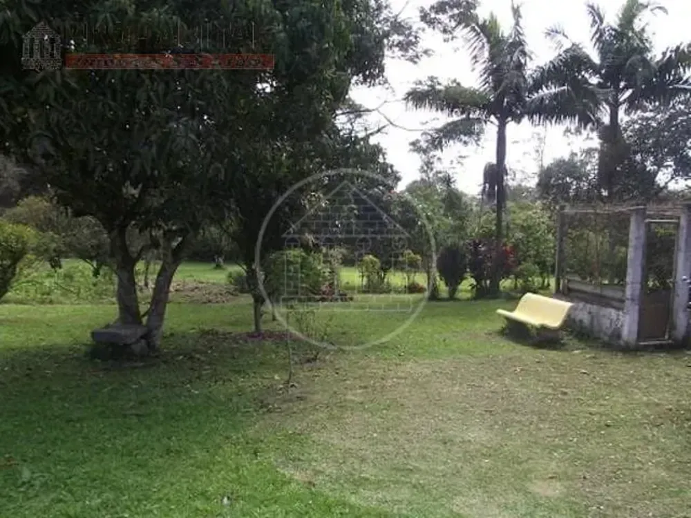 Terreno, 4 hectares - Foto 4