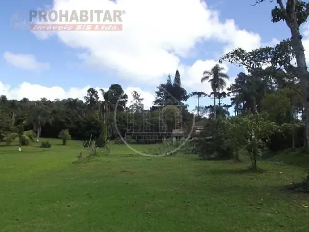 Terreno, 4 hectares - Foto 8