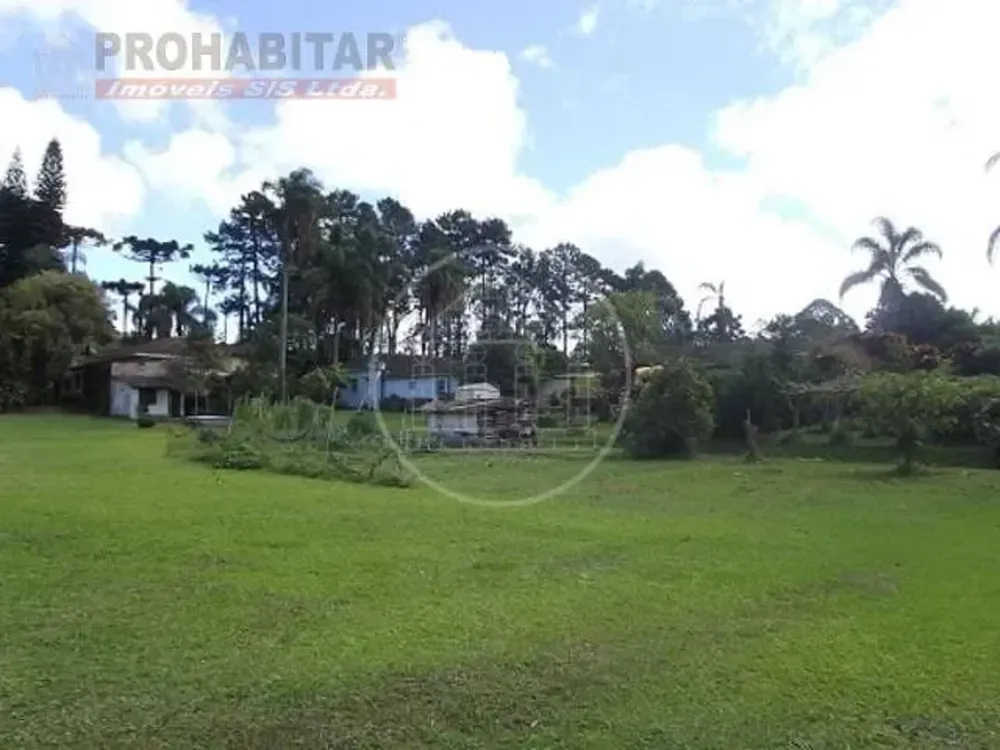 Terreno, 4 hectares - Foto 7