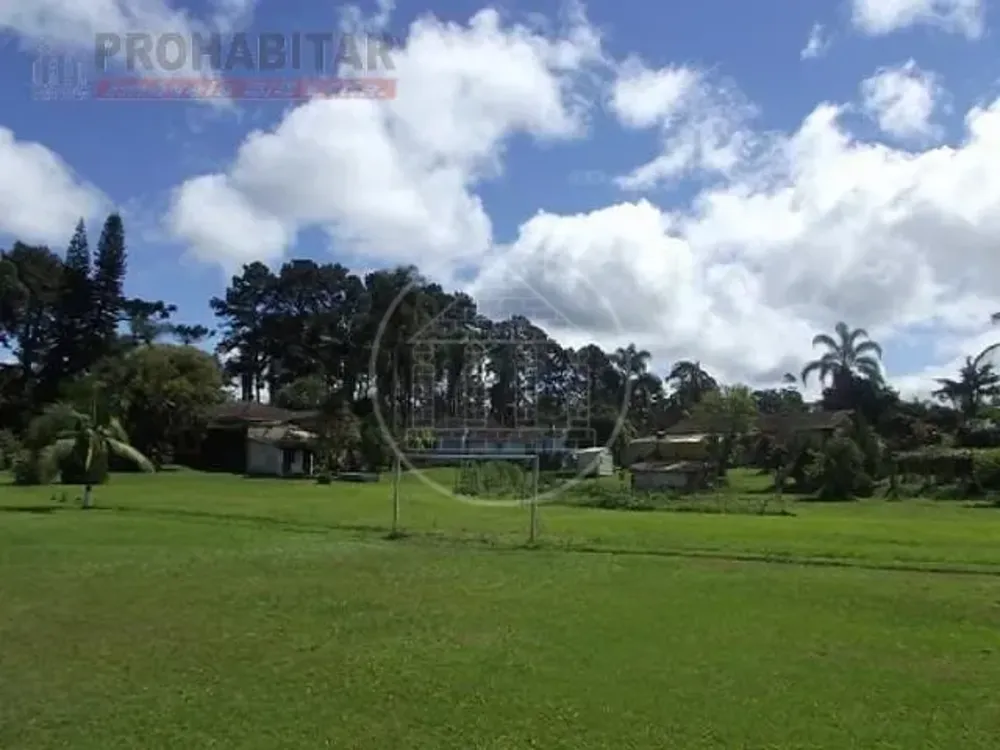 Terreno, 4 hectares - Foto 6